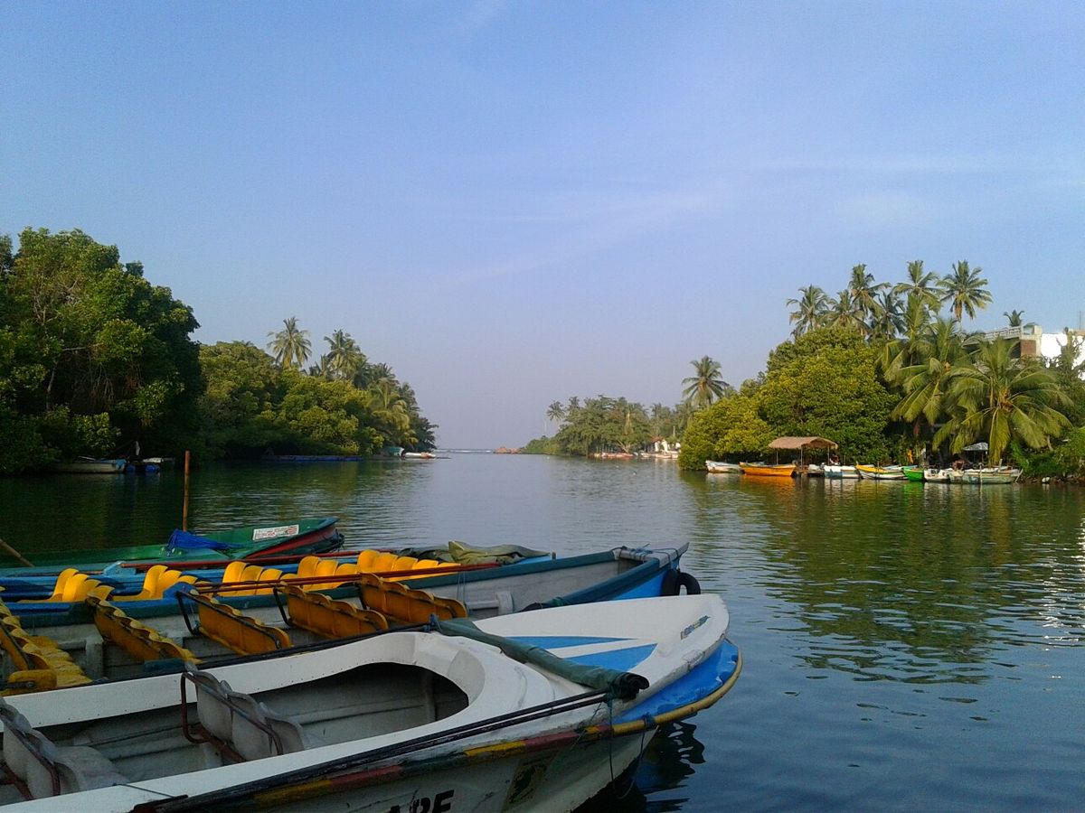 Boat safari on the Madu River
