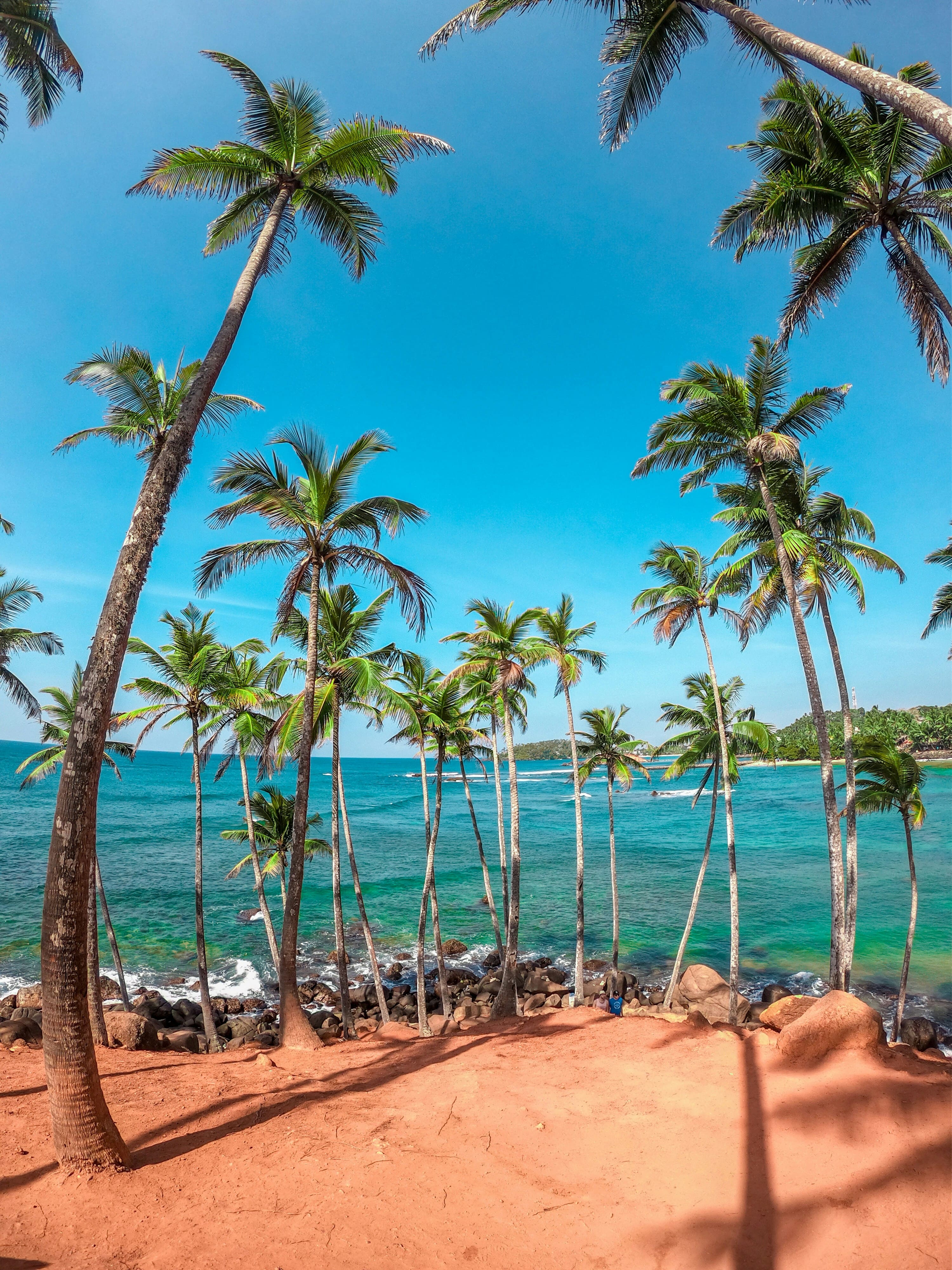 Surfing waves at Mirissa