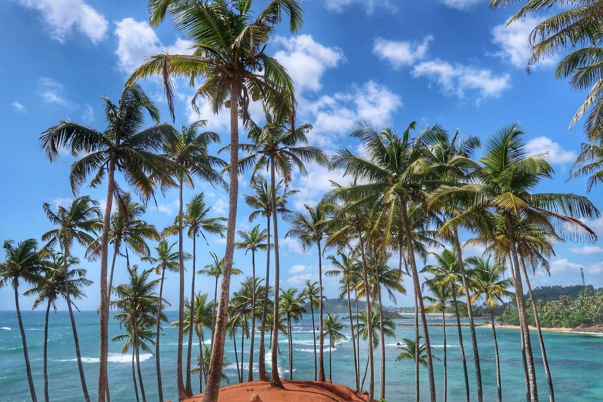 Arrival in Mirissa beach town