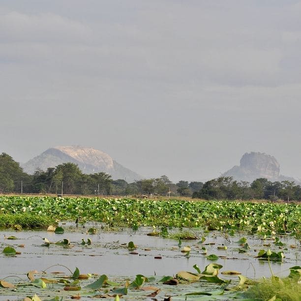 Eco-conscious retreat in Habarana