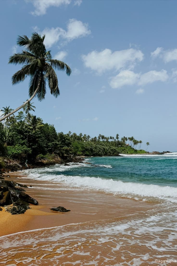 Turtle watching at Rekawa Beach