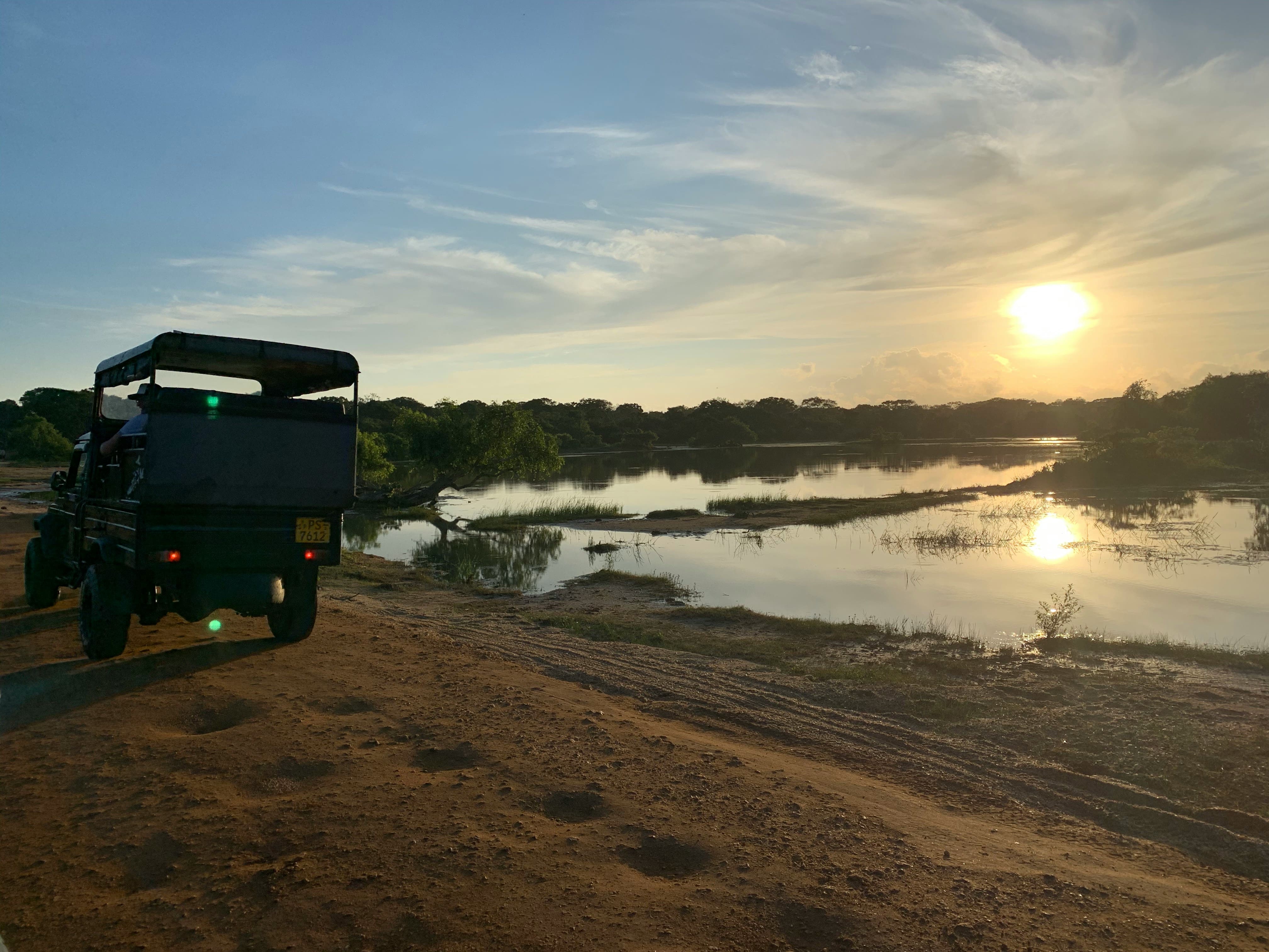 Jeep safari at Minneriya National Park