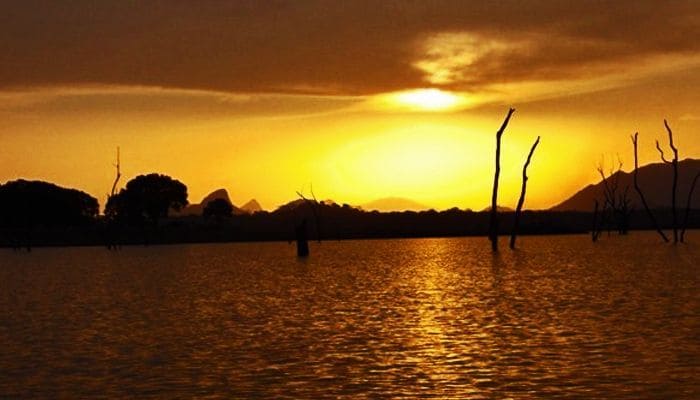 Veddha native songs and folk tales