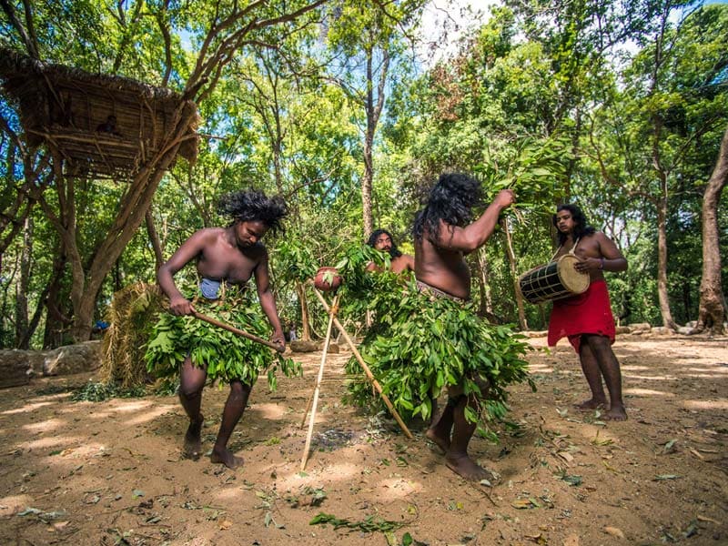 Traditional Veddha campfire dance